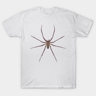 Brown Recluse T-Shirt